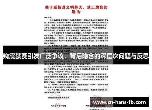魏震禁赛引发广泛争议,背后隐含的深层次问题与反思 魏震禁赛引发广泛争议,背后隐含的深层次问题与反思
