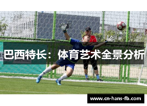 巴西特长:体育艺术全景分析 巴西特长:体育艺术全景分析