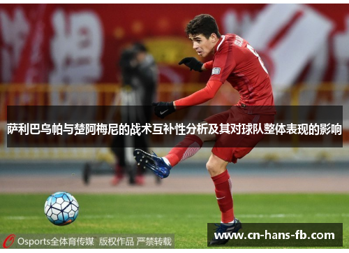 萨利巴乌帕与楚阿梅尼的战术互补性分析及其对球队整体表现的影响