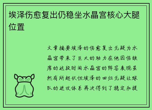 埃泽伤愈复出仍稳坐水晶宫核心大腿位置