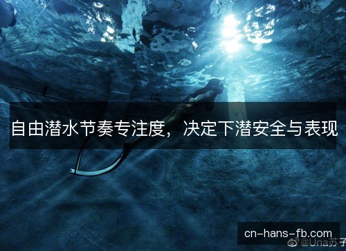 自由潜水节奏专注度,决定下潜安全与表现 自由潜水节奏专注度,决定下潜安全与表现